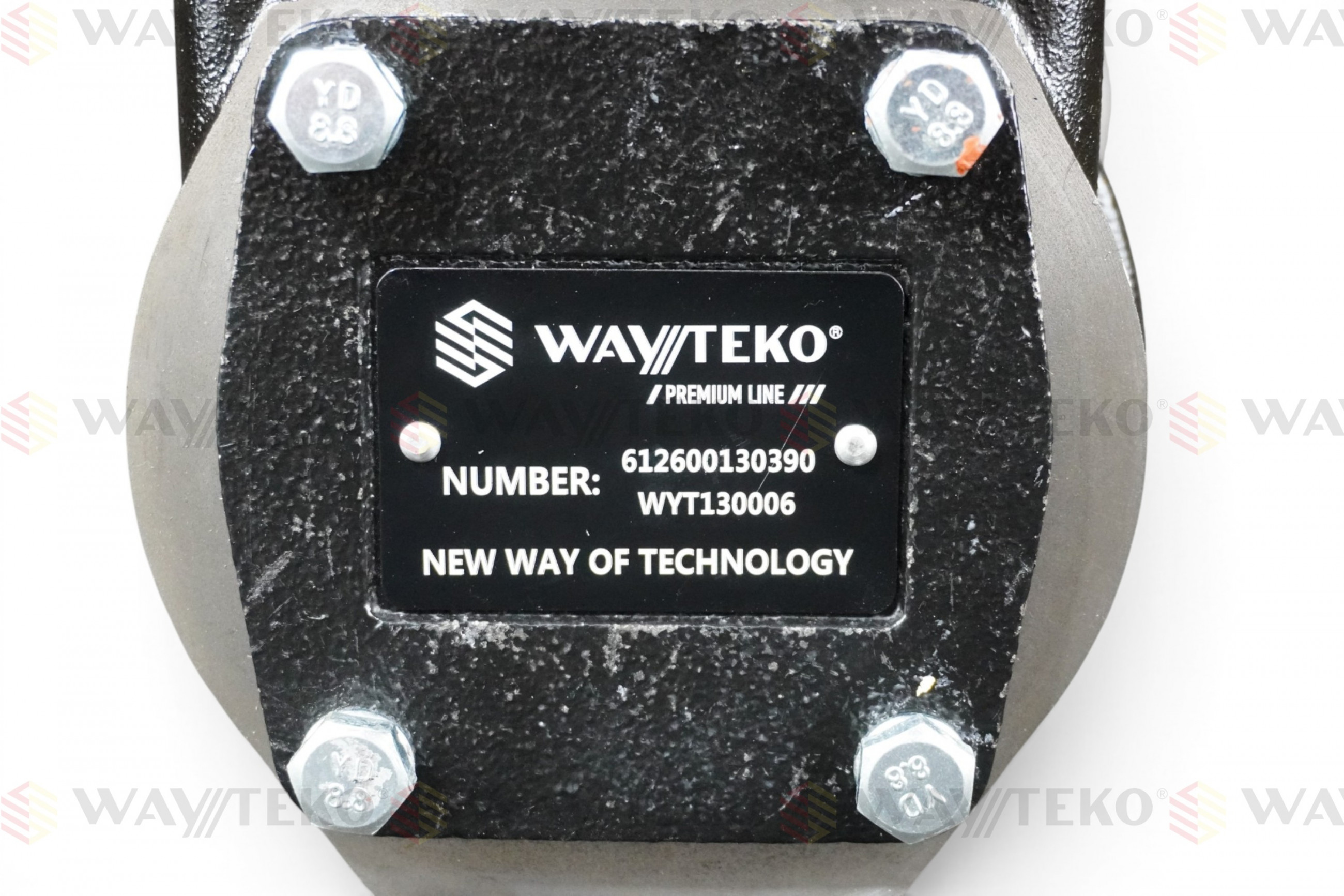 Компрессор воздушный 1-цилиндровый WP10 WAYTEKO PREMIUM